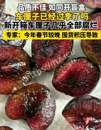 新开箱的车厘子